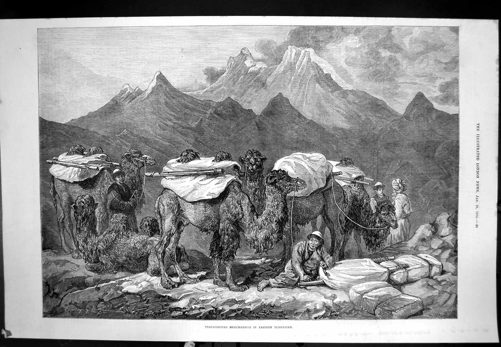 Old Antique Print Transporting Merchandise Eastern Turkestan Camels 1875 19th