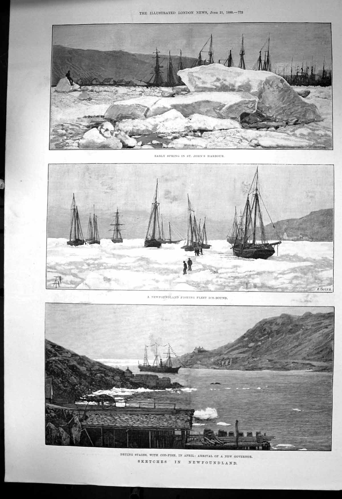 Antique Old Print Newfoundland St Johns Harbour Fishing Fleet Ice Bound 1890