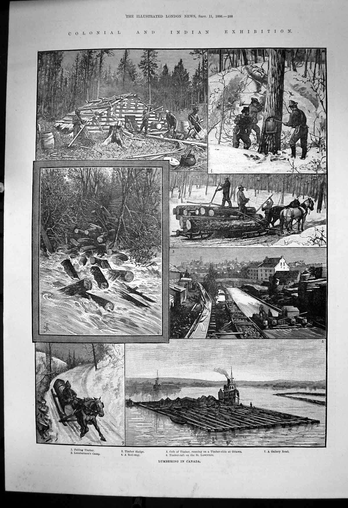 Antique Print Lumbering Canada Felling Timber Raft St Lawrence Sledge 1886 19th