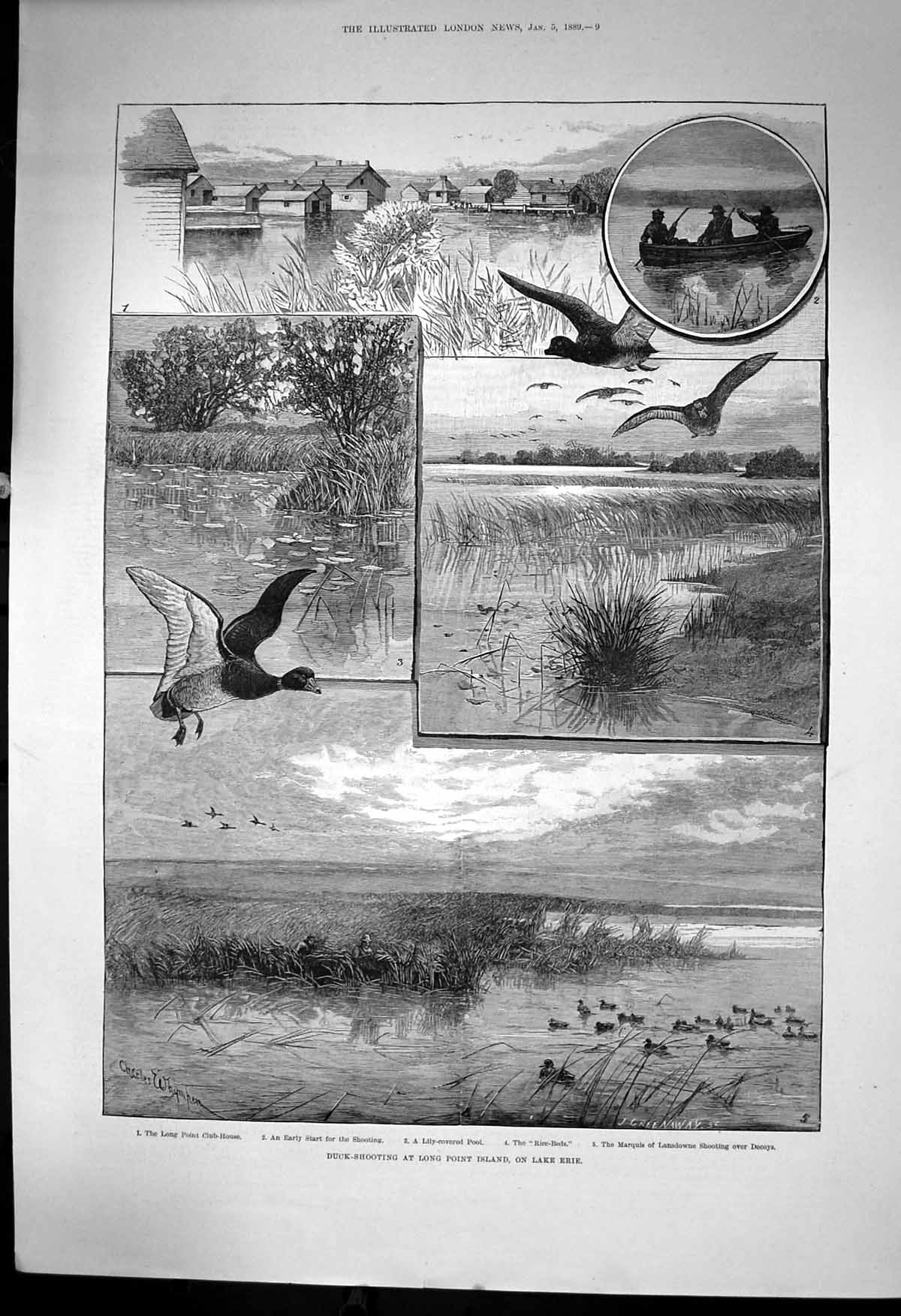 Original Old Antique Print Duck Shooting Long Point Island Lake Erie 1889 19th