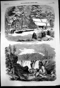 Old Print Lumbering New Brunswick Cottage Driving Logs Falls St John 1858 19th