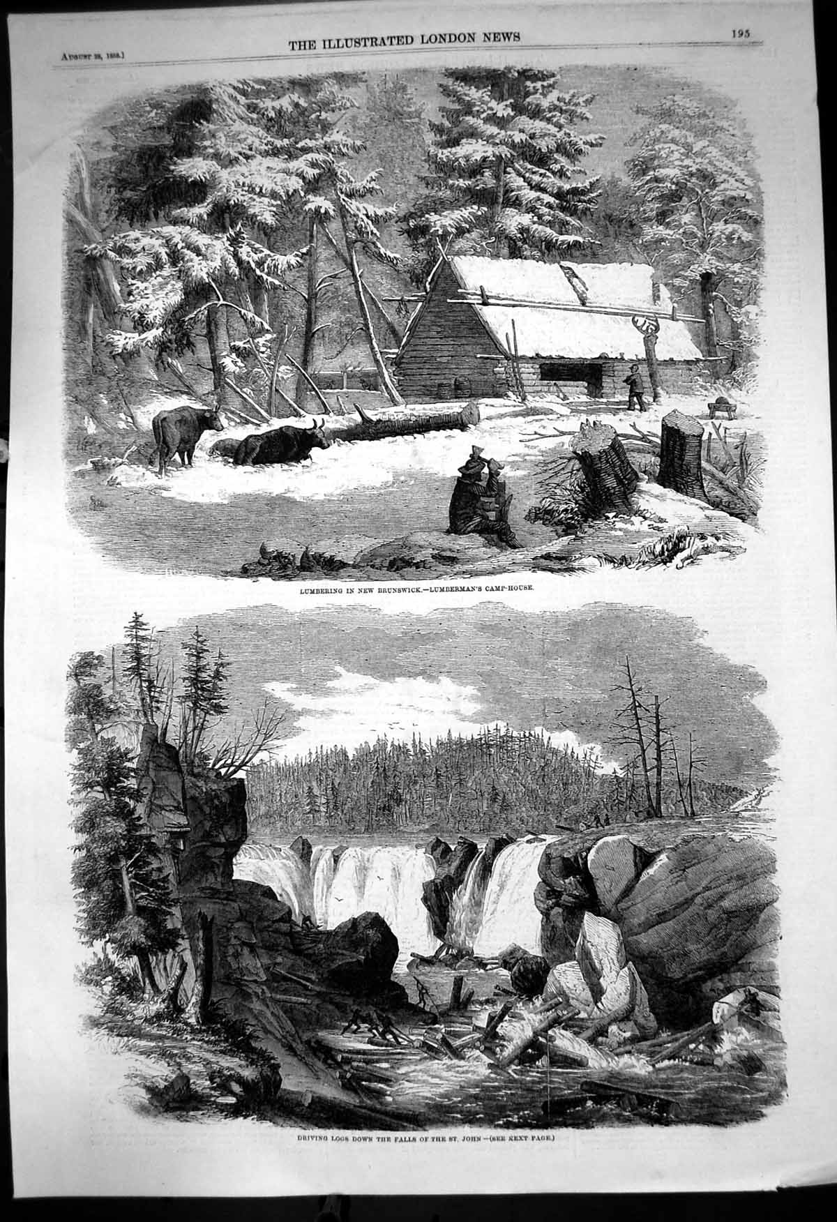 Old Print Lumbering New Brunswick Cottage Driving Logs Falls St John 1858 19th