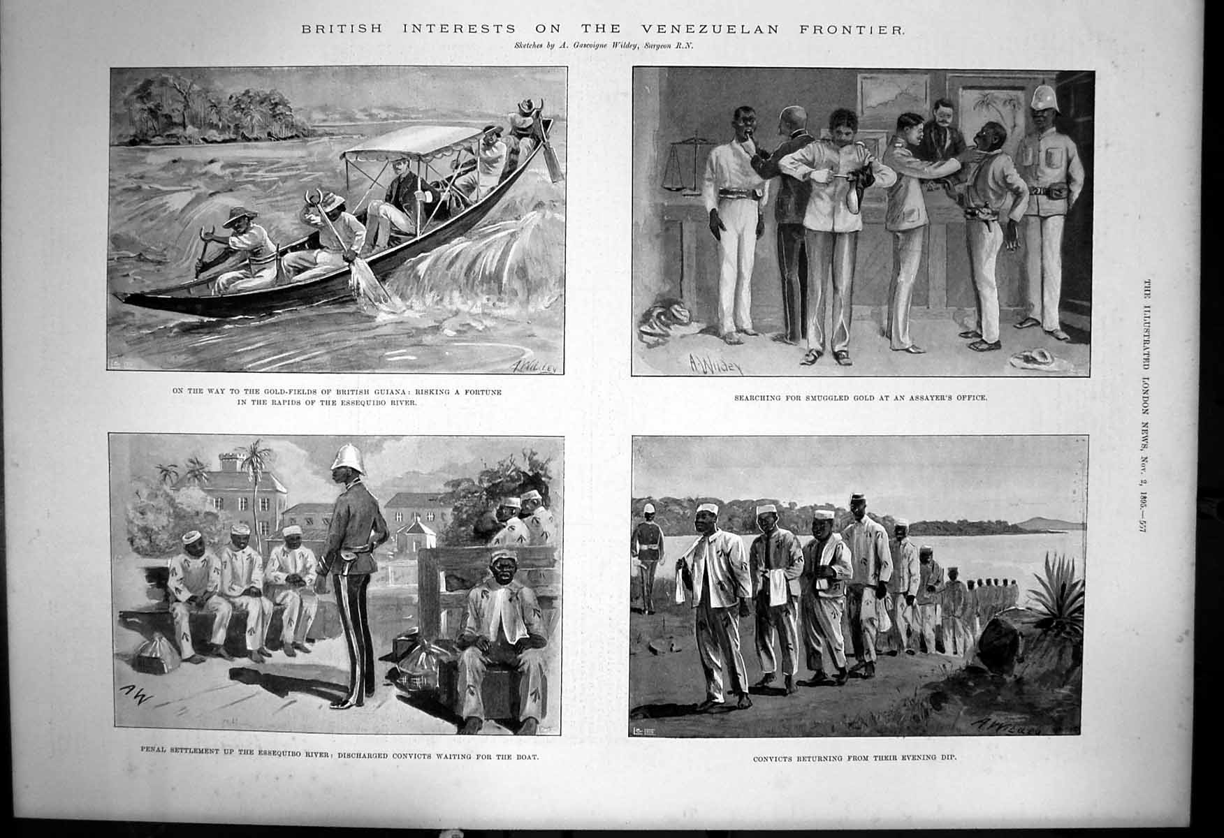 Original Old Antique Print Gfields British Guiana Smuggled GConvicts 1895 19th