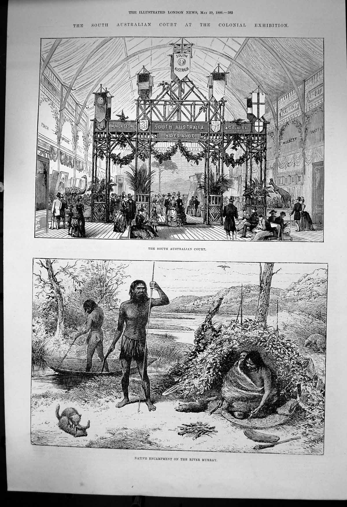 Antique Old Print South Australian Court Native Encampment River Murray 1886
