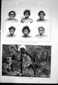Antique Old Print Australia Natives Port Darwin Armed Spear Boomerang 1886 19th