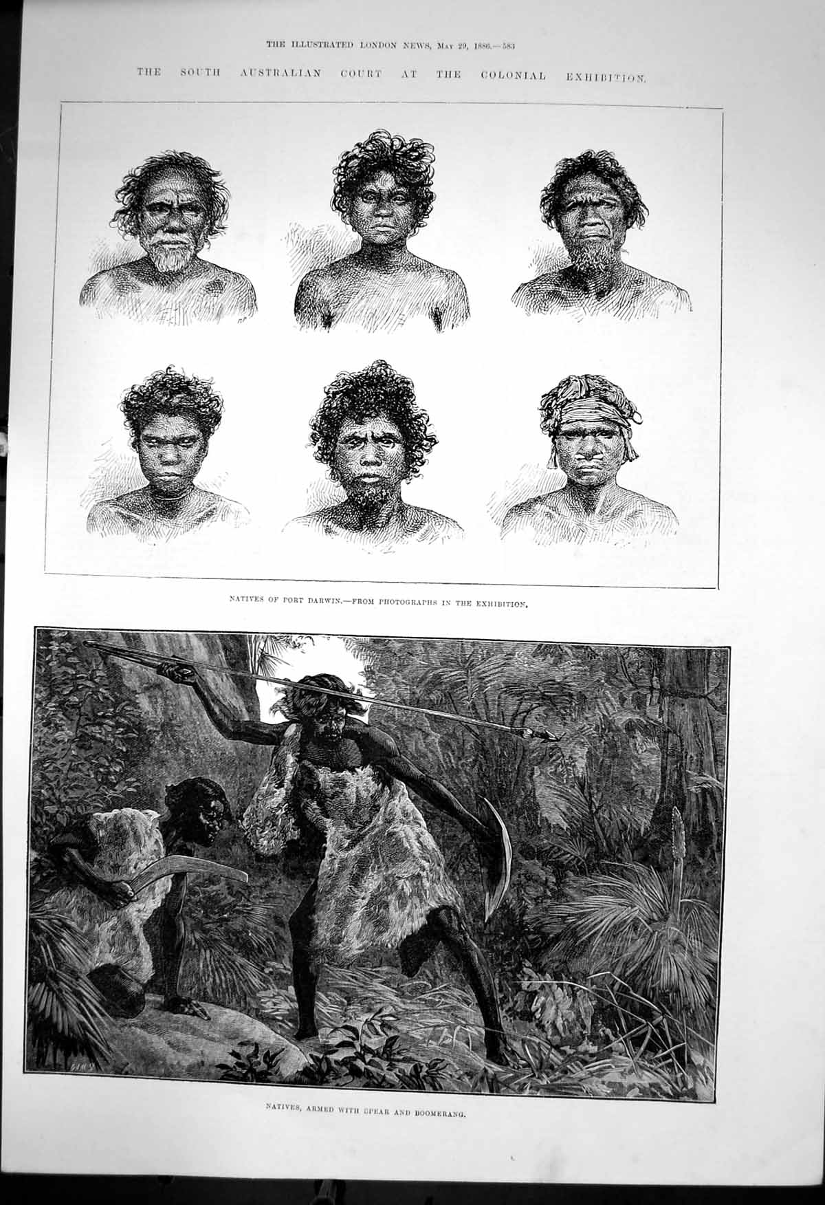 Antique Old Print Australia Natives Port Darwin Armed Spear Boomerang 1886 19th