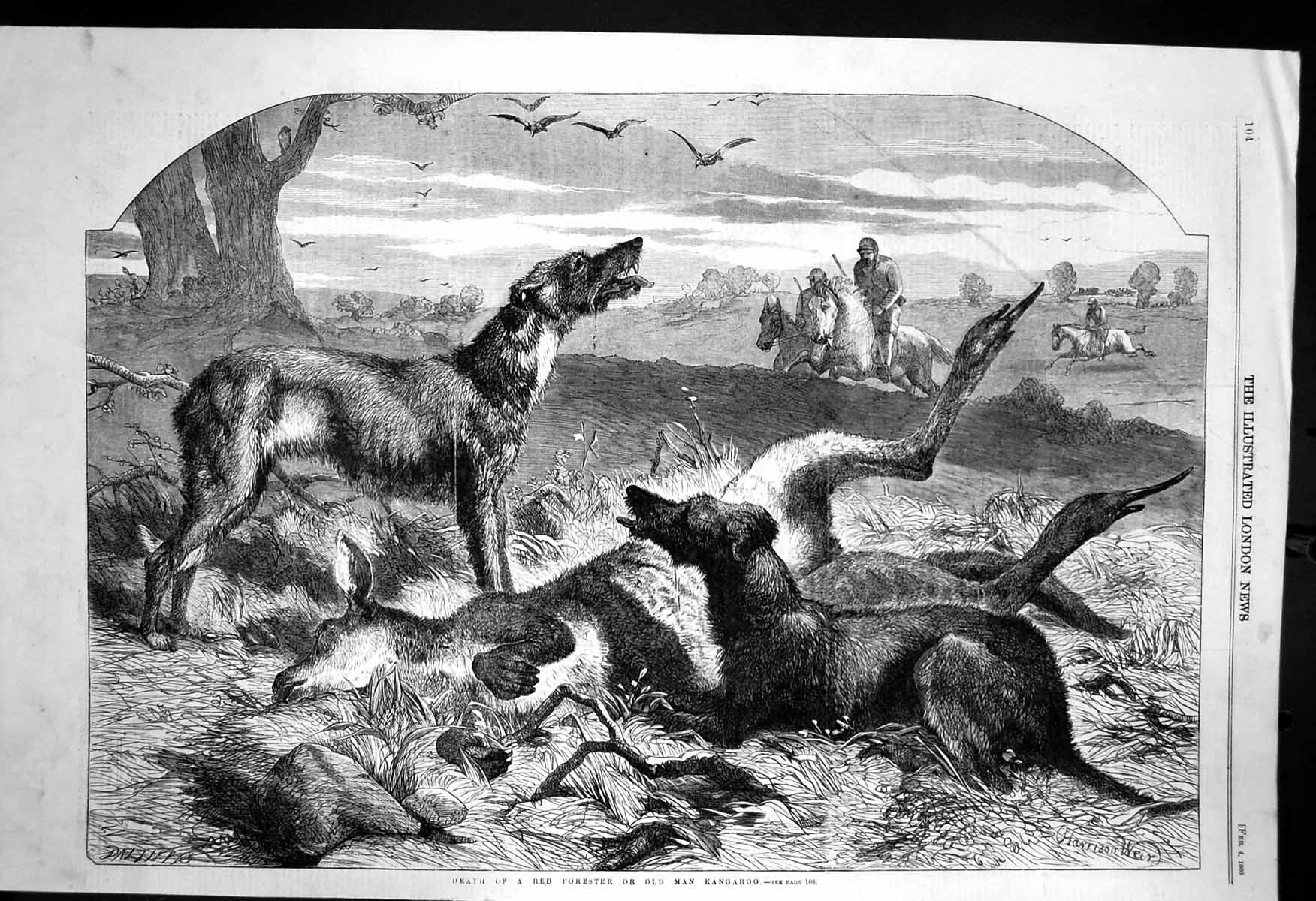 Original Old Antique Print Death Red Forester Man Kangaroo Horses Riders 1860