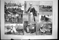 Antique Old Print French Sardine Industry Breton Woman Landing Counting1890