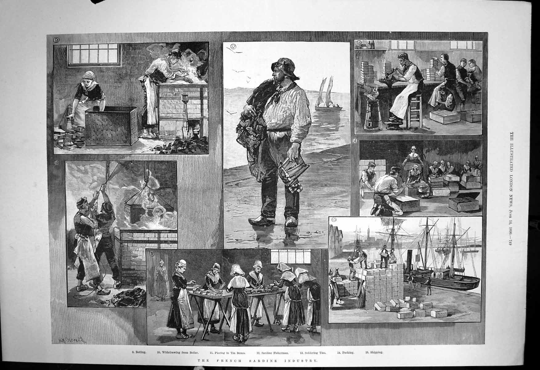 Old Print French Sardine Industry Boiling Fisherman Packing Shipping 1890 19th
