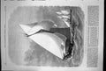 Old Print International Yacht Race Sappho And Cambria St Catherines 1870 19th