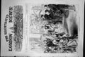 Old Princess Louisa Opening The Bazaar For Hospital For Children 1870 Victorian