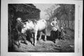 Antique Print Auld Mare Maggie By J Faed Barn Farm White Horse Farmer 1870 19th