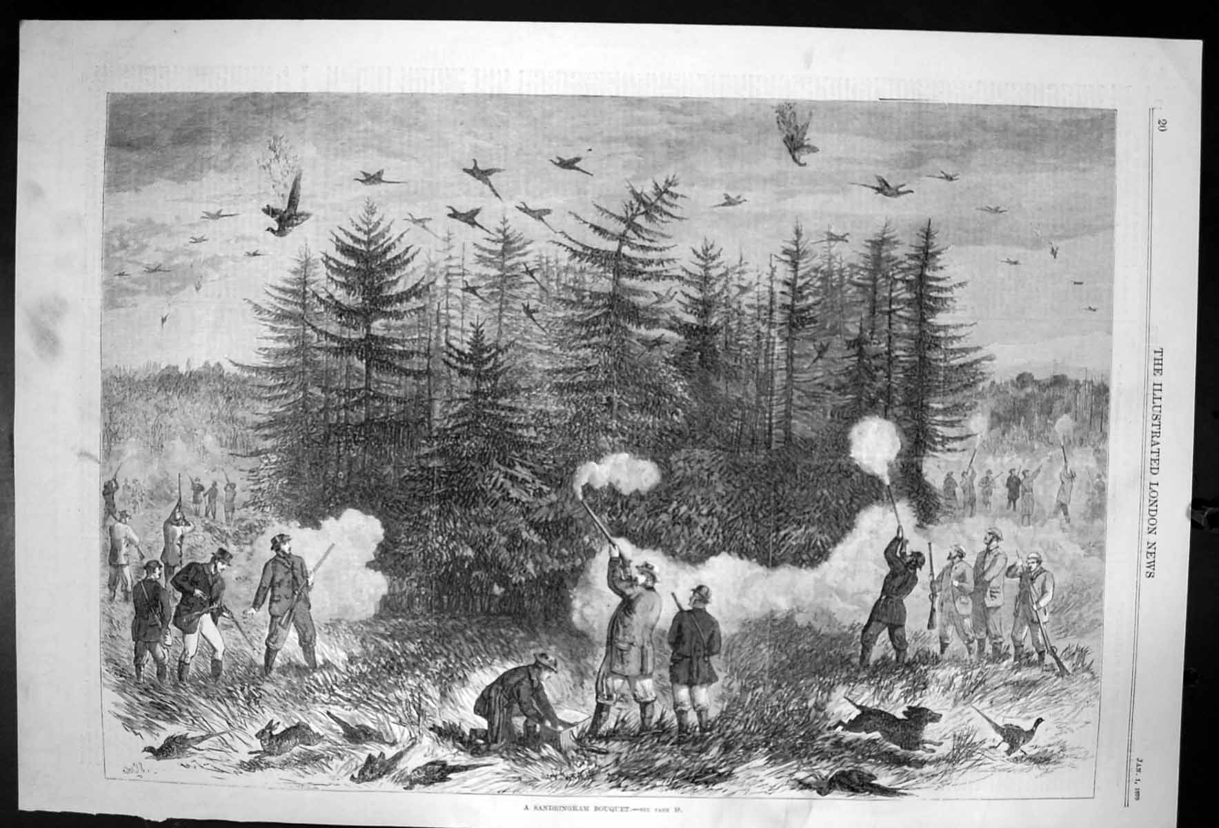 Antique Print A Sandringham Banquet Shooting Sport Forest Beating Dogs 1870
