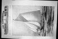 Old Sir Thomas Liptons New Yacht Shamrock Stretching Her Canvas 1899 Victorian