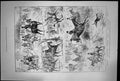 Antique Print Day With The Empress Austria And Sir Watkin Wynns Hounds 1882