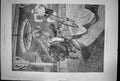 Old Antique Print Horse And Bicycle Contest At The Agricultural Hall 1887 19th