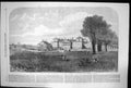 Antique Print Holkham Hall Norfolk Seat Earl Leicester Prince Princess 1865