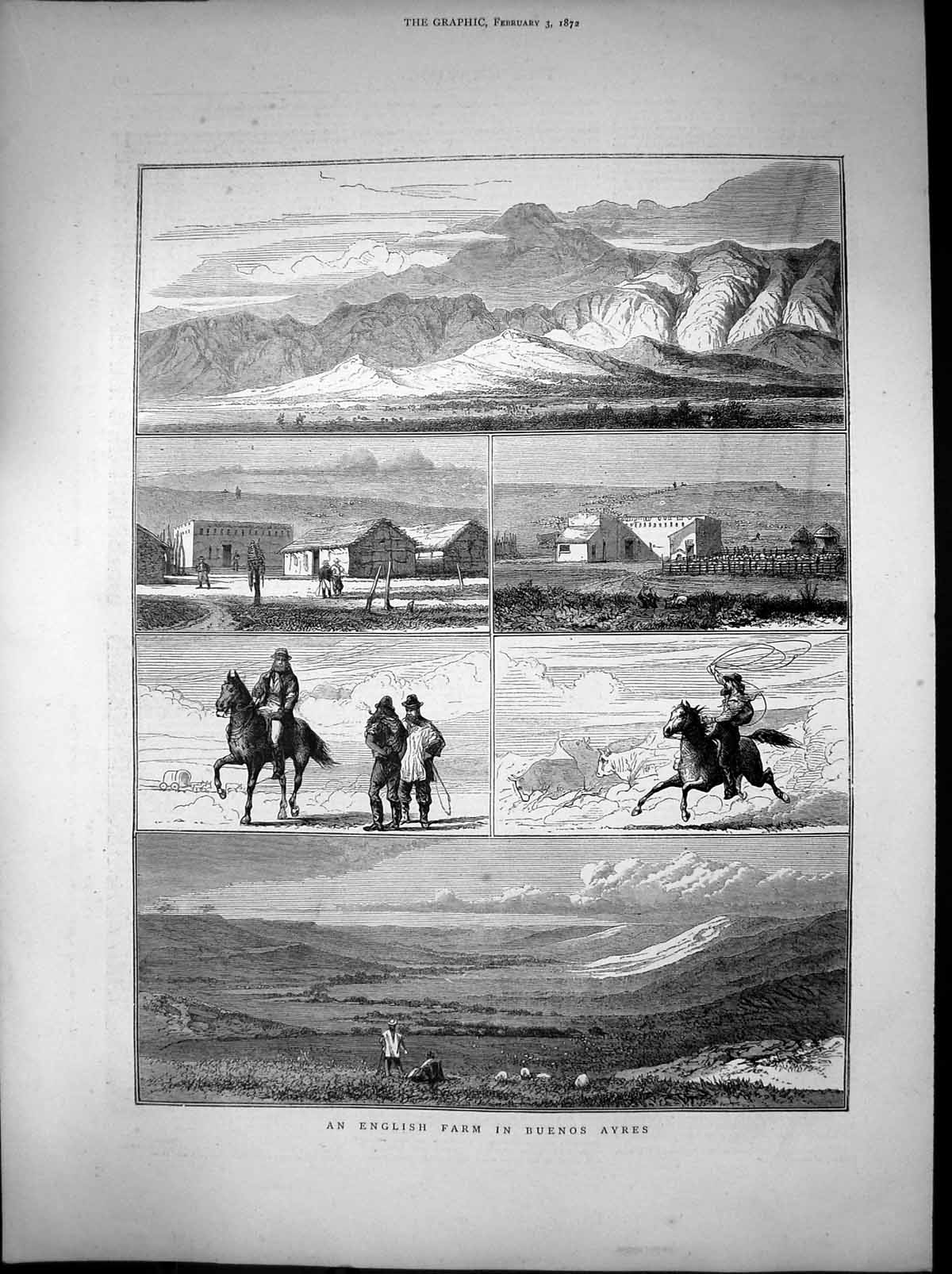 Old Antique Print Buenos Ayres English Farm Herding Cattle Horseback 1872 19th