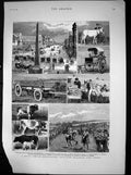 Old Antique Print Agricultural Show Port Elizabeth Colonial Waggon 1882 19th