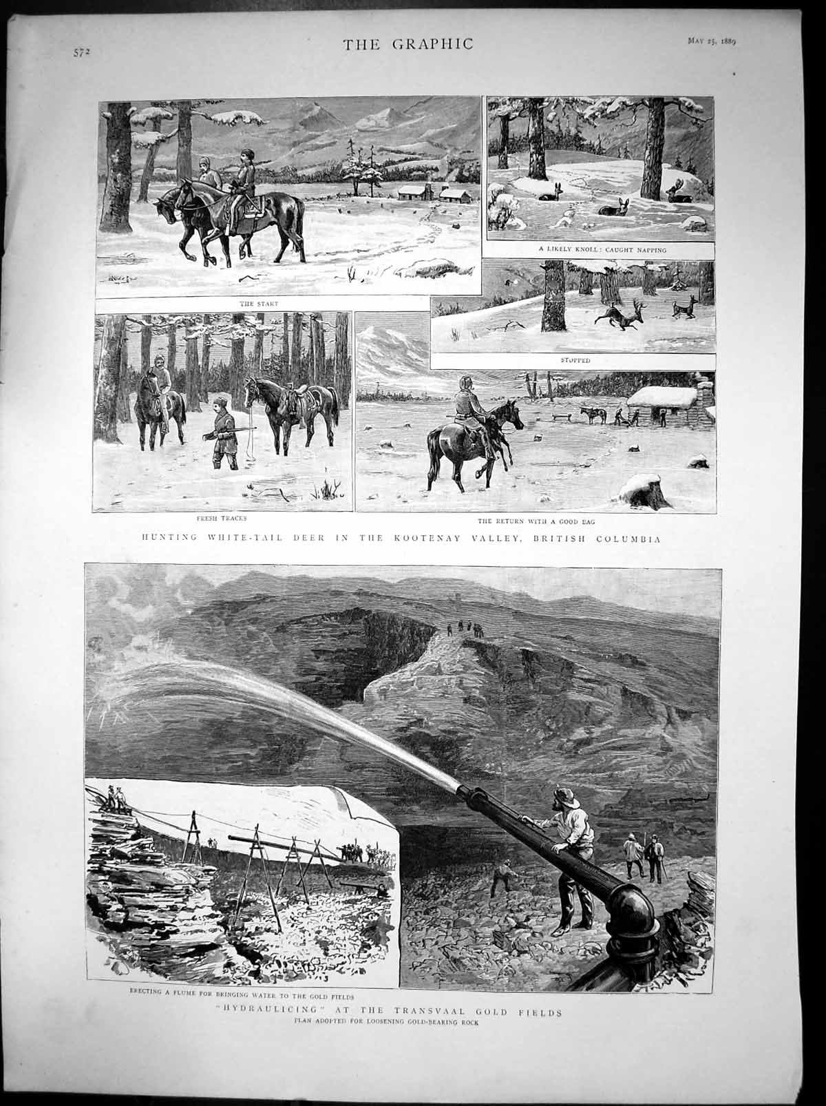 Antique Old Print Deer Kootney British Columbia Hydraulicing Transvaal1889 19th