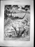 Original Old Antique Print Prince Princess Wales Mentone Gathering Olives 1892
