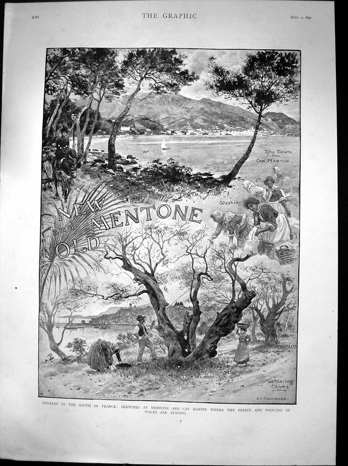Original Old Antique Print Prince Princess Wales Mentone Gathering Olives 1892