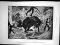 Antique Print Harry Heathcote Gangoil Boscobel Georgie Brownbie Harry 1873 19th