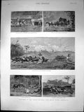 Old Sketches Back Country N S Wales Wool Shed Wild Horses Moony 1889 Victorian