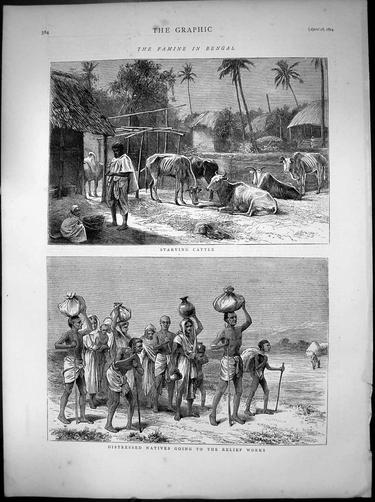 Antique Print Famine In Bengal Natives To Relief Works Starving Cattle 1874
