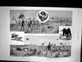 Old A Days Hawking At Dera Ghazi Khan Punjaub India Falcon Kite 1889 Victorian