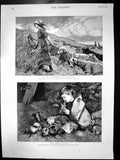 Original Old Antique Print The Magic Flute In The Sandhills Jutland Stokes 1887