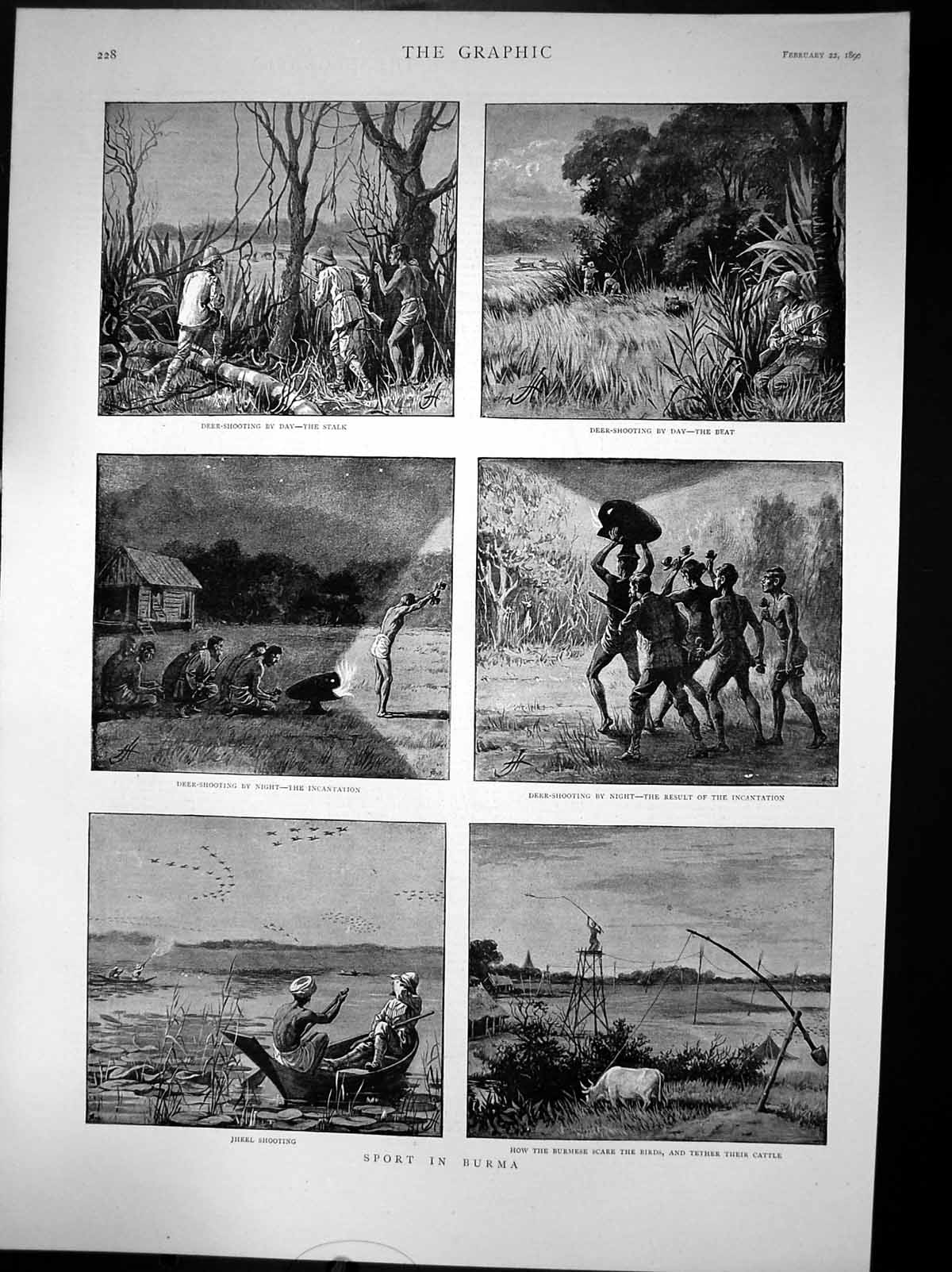 Old Print Sport In Burma Deer Shooting The Beat Jheel Tether Cattle 1890 19th