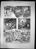 Antique Old Print Misadventures An Artist In Tonga Sketches Mosquitos 1887 19th