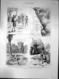 Antique Old Print Visit To The Veddahs Or Wild Men Ceylon Elephant Bear 1887