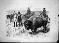 Old Print Buffalo Hunt Marquis Lorne Red River Valley Coup De Grace 1881 19th