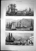 Antique Old Print The Newfoundland Fisheries Questions The French Shore 1891