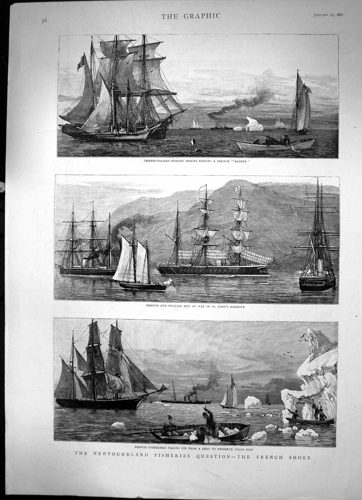 Antique Old Print The Newfoundland Fisheries Questions The French Shore 1891