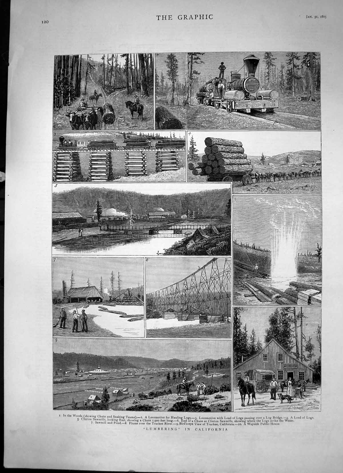 Old Print Lumbering In California Sketches In The Woods Over Bridge 1885 19th