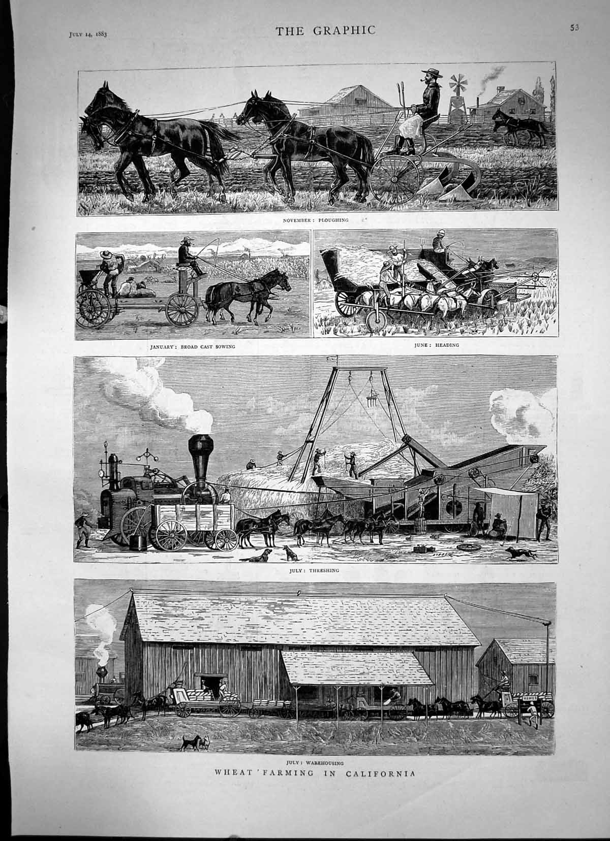 Old Wheat Farming California Ploughing Heading Sowing Threshing 1883 Victorian