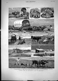 Old Print Scenes From The Emigrants Life In Manitoba Sketches Slough 1883 19th