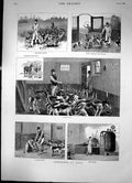 Antique Print Foxhounds At Home Exercise Footbath Feeding Time Kitchen 1883