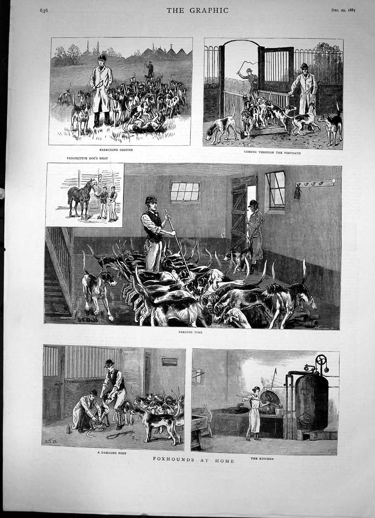 Antique Print Foxhounds At Home Exercise Footbath Feeding Time Kitchen 1883
