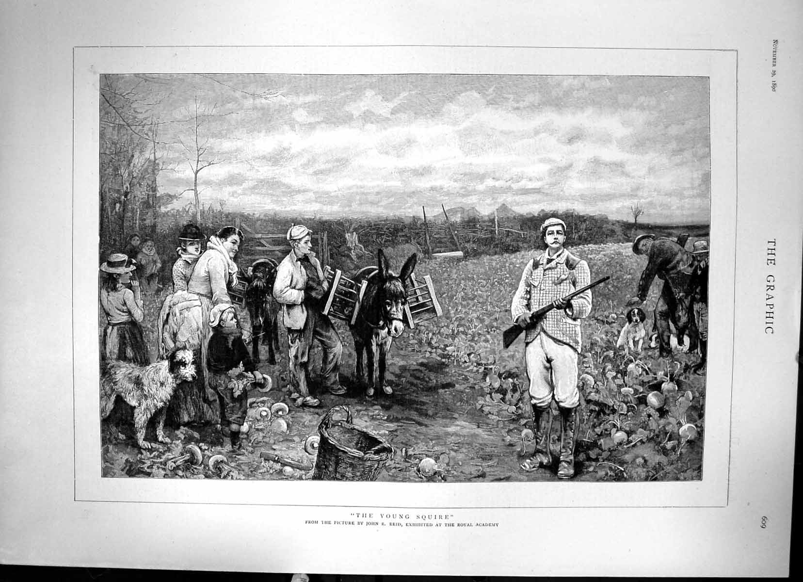 Old Print The Young Squire Picture By John Reid Hunting Rifle Donkey 1890 19th