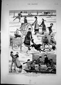 Antique Old Print Skating Sketches Marquis Lorne Style An Ice Collision 1882