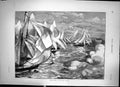 Original Old Antique Print Yachting A Flying Start Race Sketch 1874 Victorian