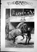 Antique Print Queen At Islington Horse Show Prizewinners Parading Box 1891 19th