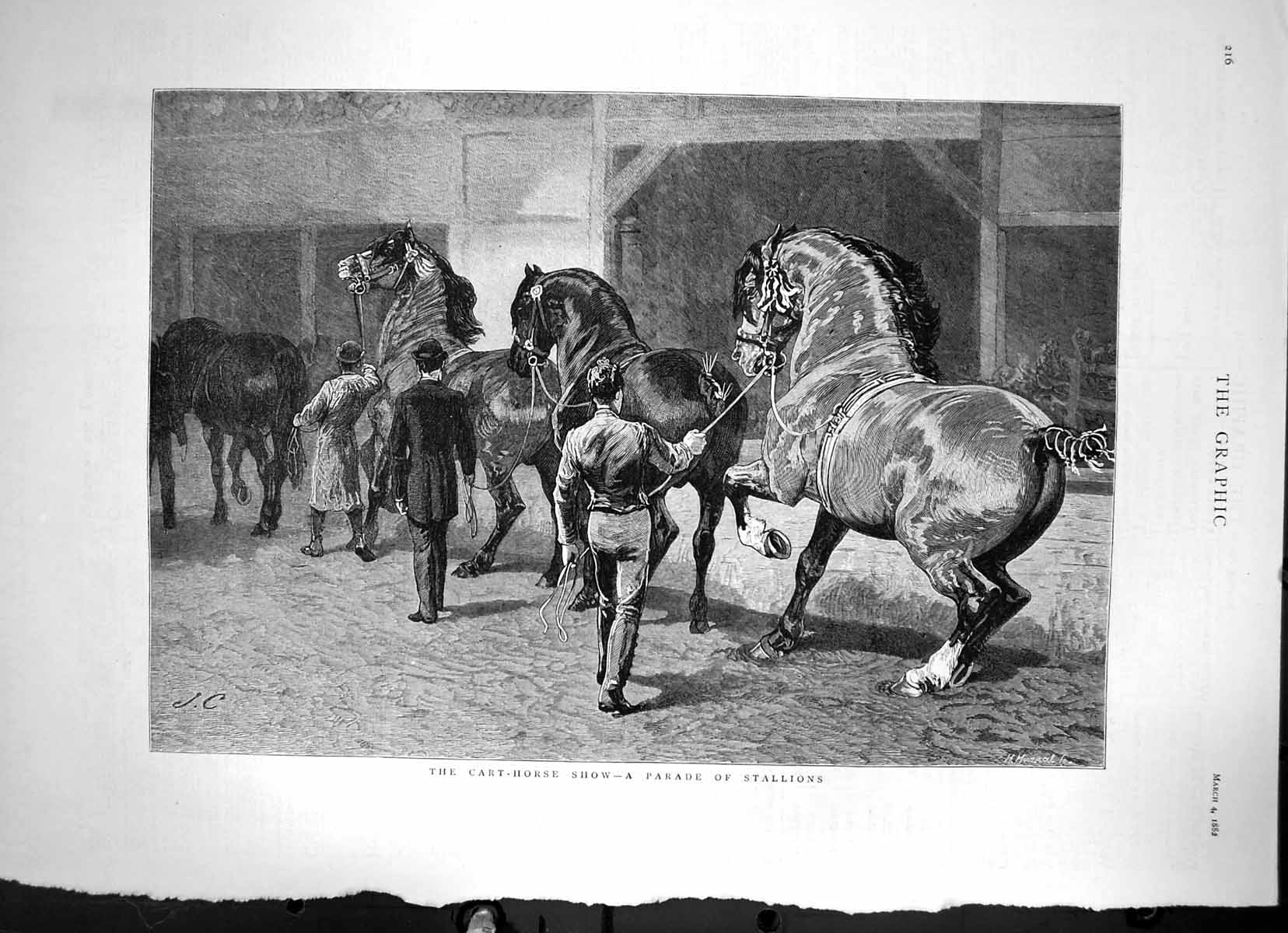 Original Old Antique Print The Cart-Horse Show A Parade Stallions Sketch 1882