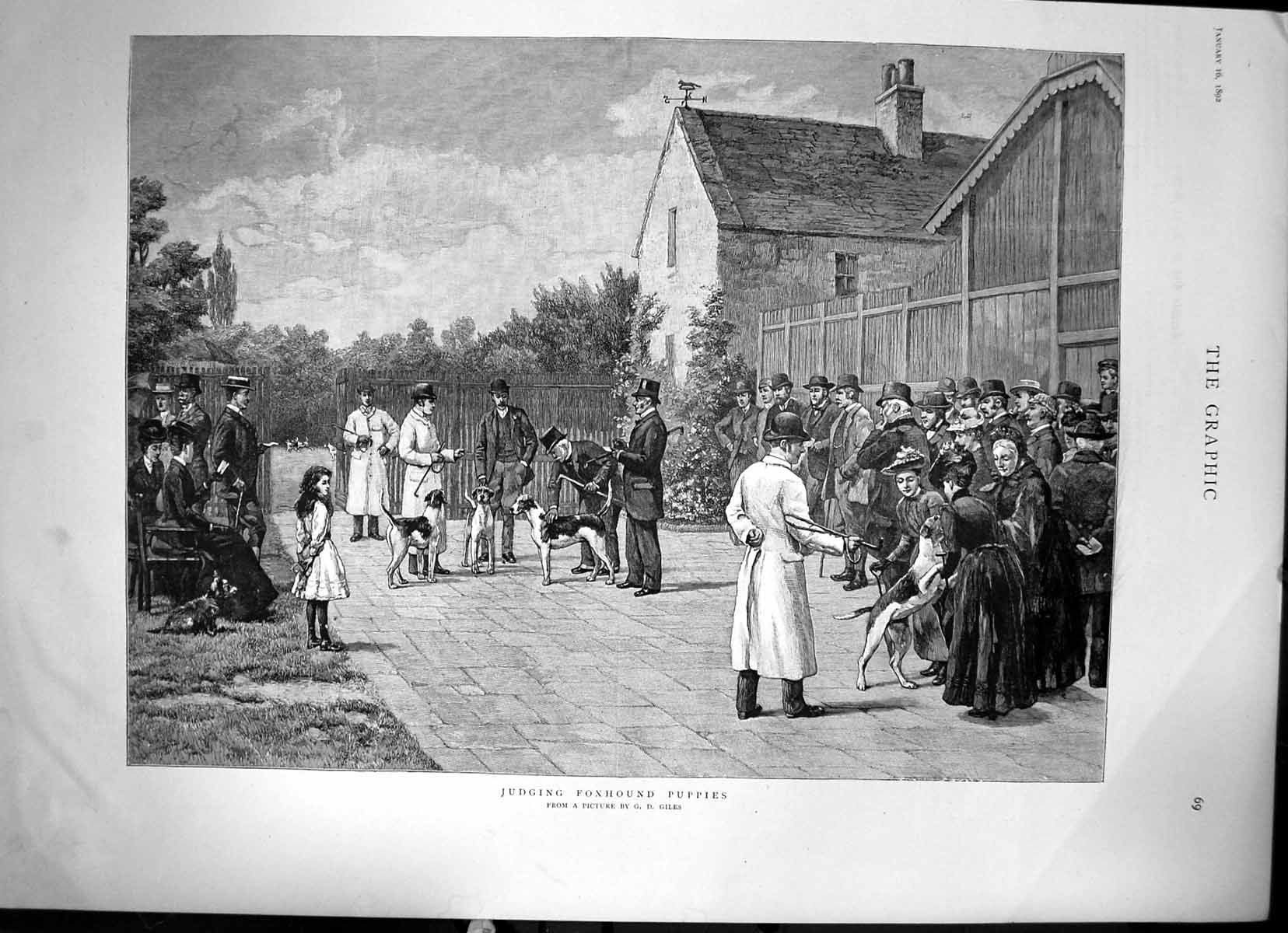 Antique Print Judging Foxhound Puppies Sketch From Picture By Gd Giles 1892