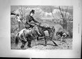 Antique Old Print Not Good At Water Sketch A Woman On Horse In A River 1886