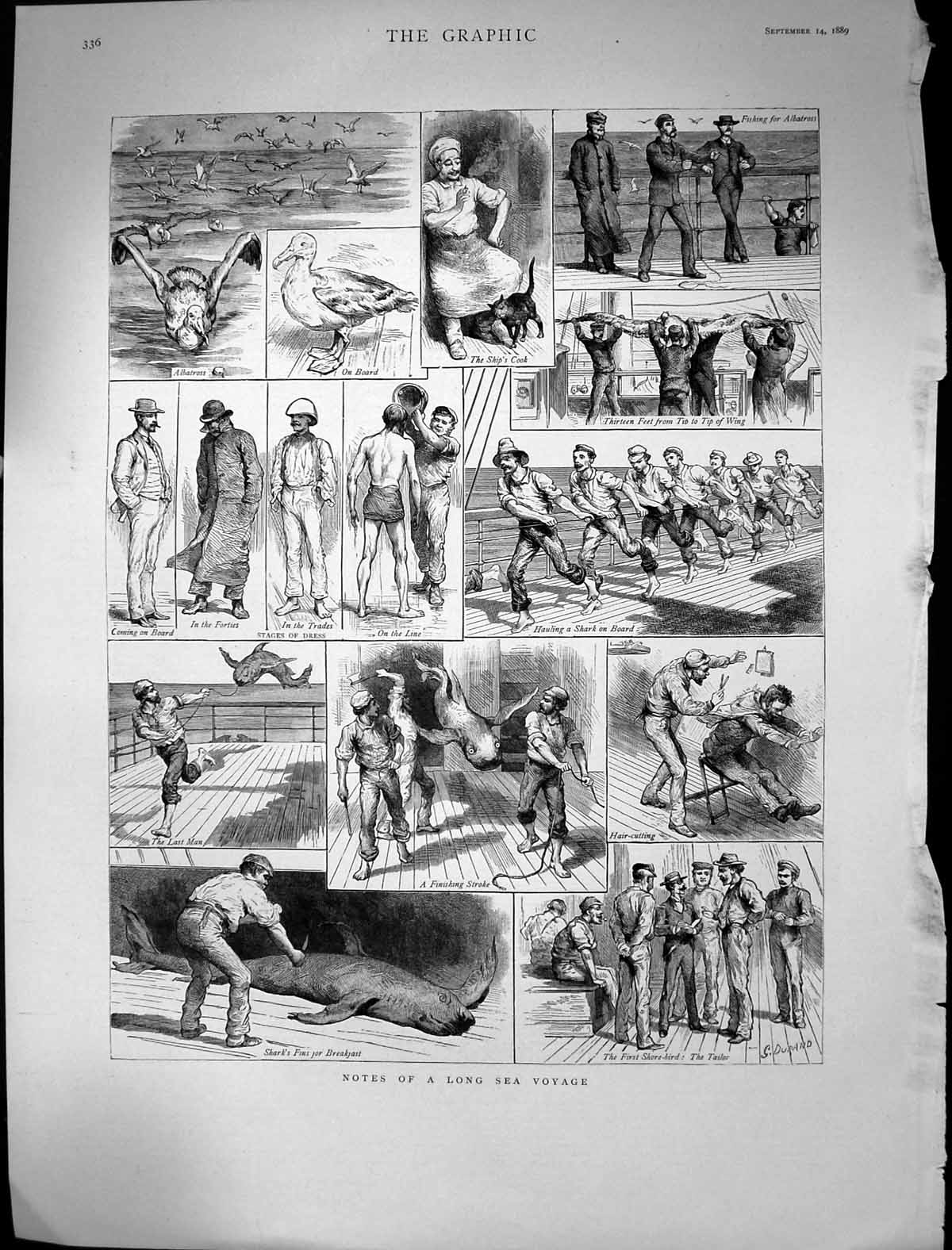 Old Print 1889 Long Sea Voyage Sailors Hauling Shark Deck Ship Albatross 19th